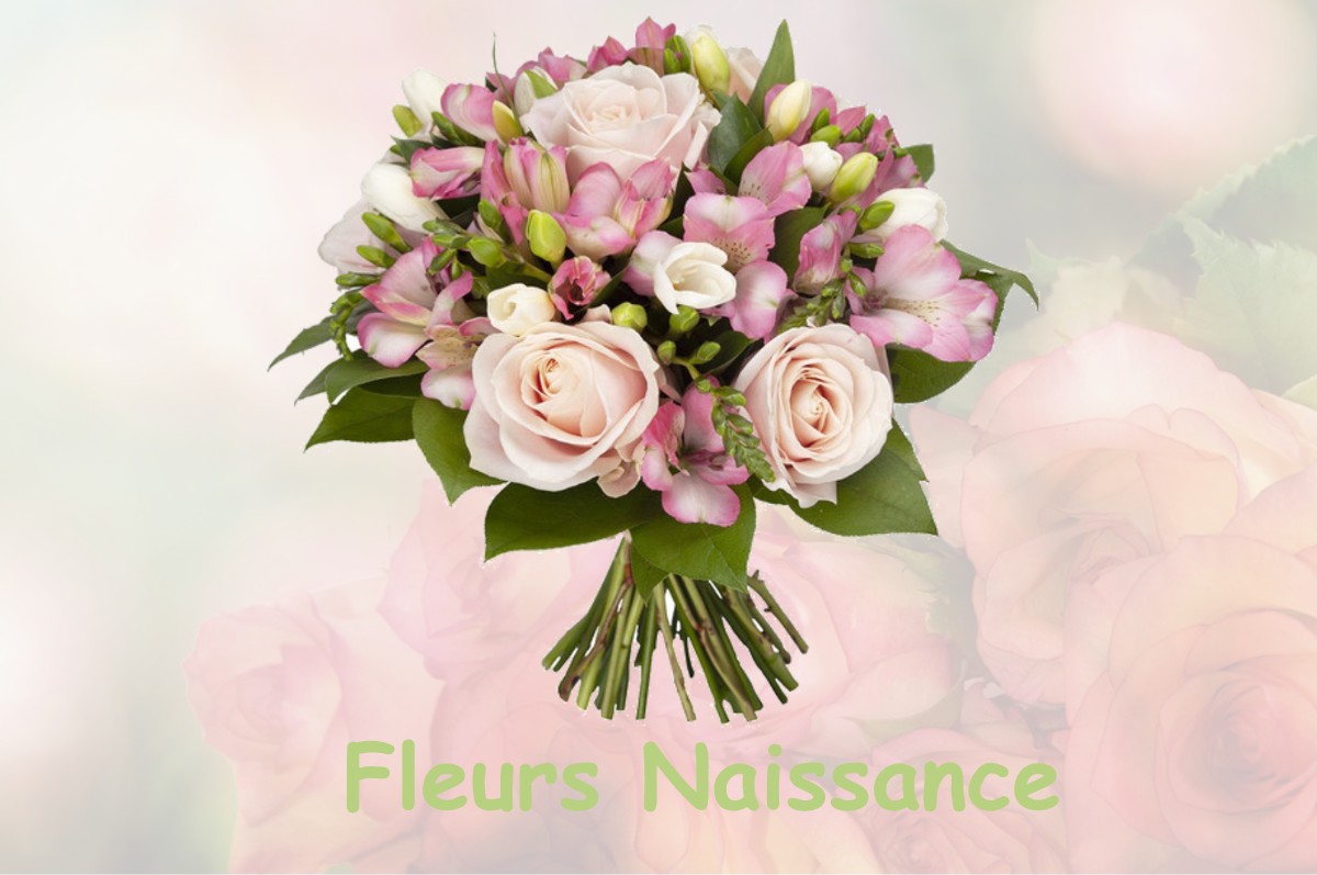 fleurs naissance VILLEZ-SUR-LE-NEUBOURG